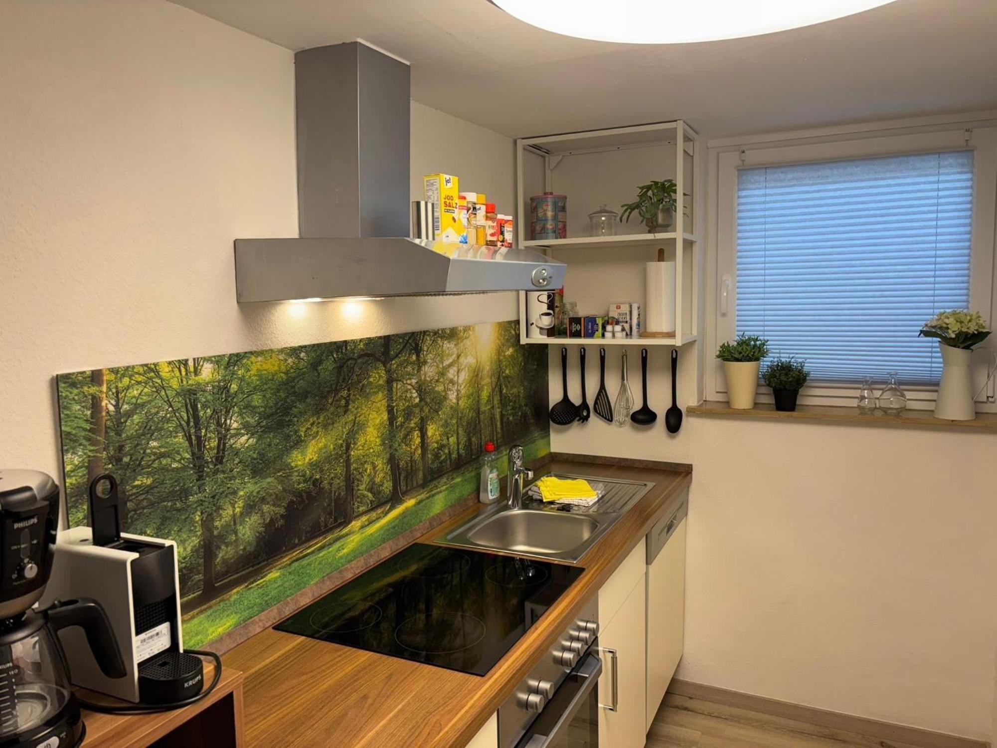 Löwenstein Apartment *